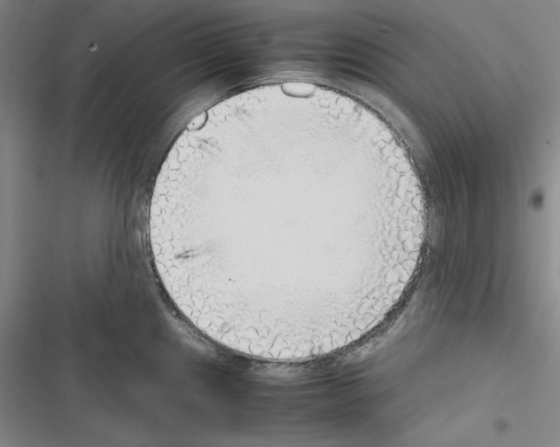 X0000116461241201001201253
