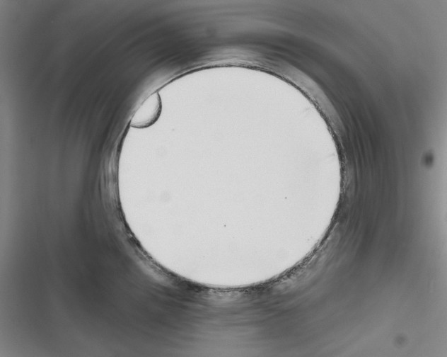 X0000116461242201001201253