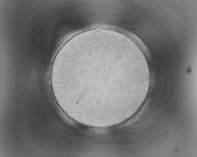 X0000116461244201001201253