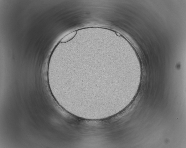 X0000116461246201001201253