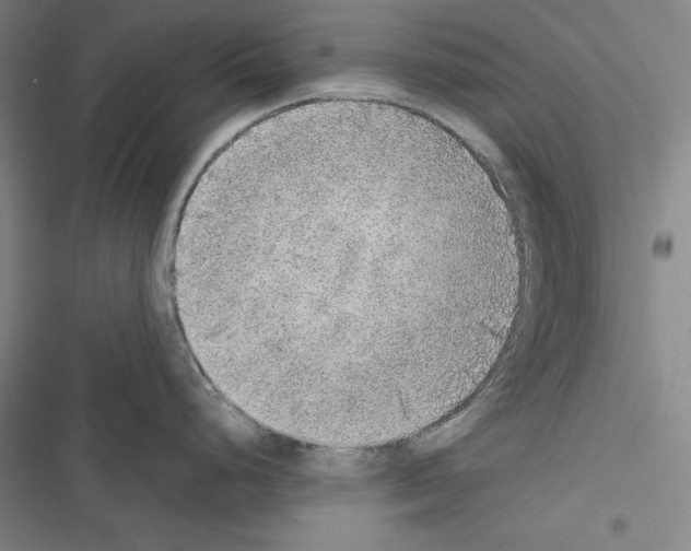 X0000116461248201001201253