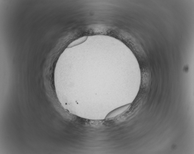 X0000116461249201001201253