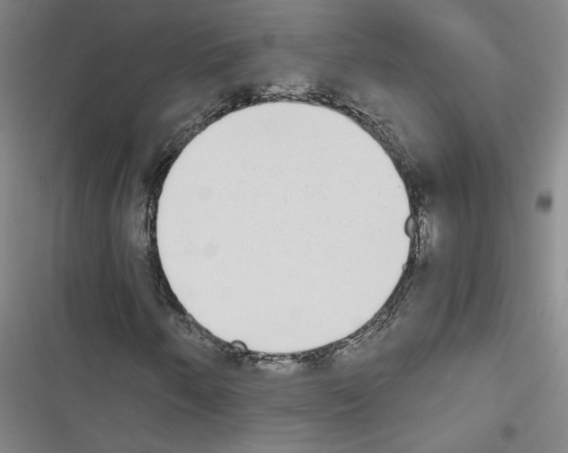 X0000116461250201001201253
