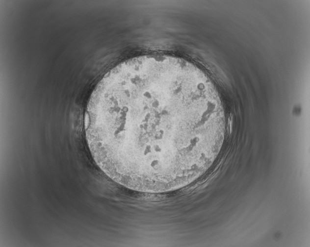 X0000116461251201001201253