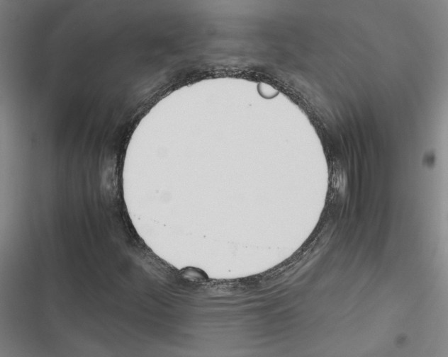 X0000116461252201001201253