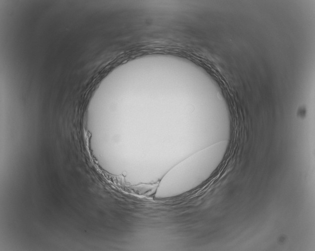 X0000116461253201001201253