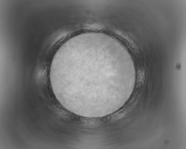 X0000116461254201001201253
