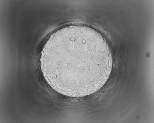 X0000116461255201001201253