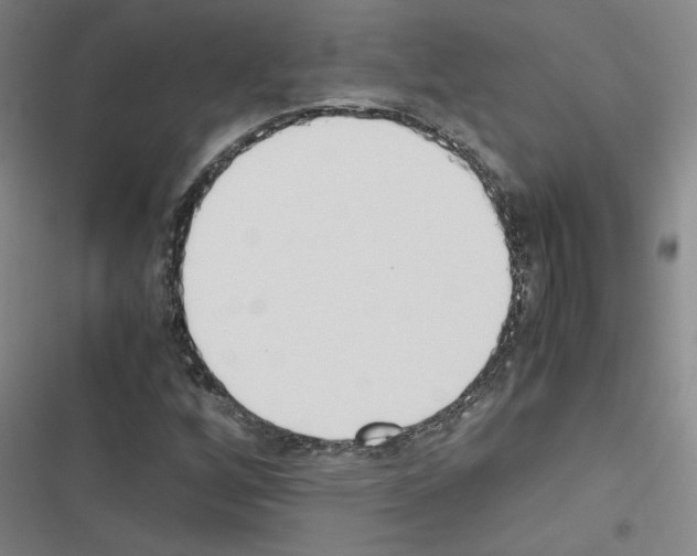X0000116461256201001201253