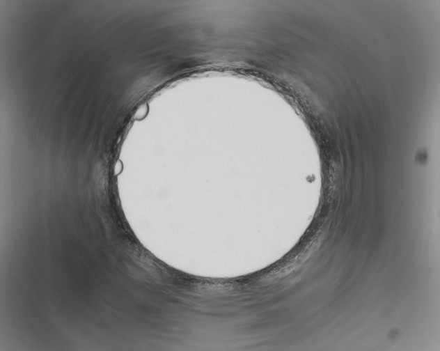 X0000116461257201001201253