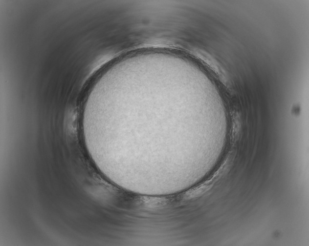 X0000116461258201001201253
