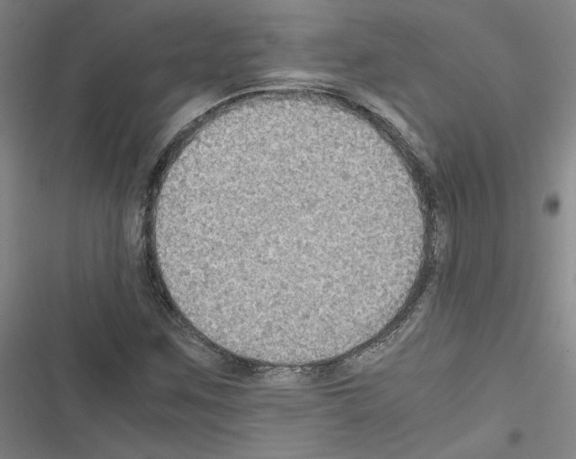 X0000116461259201001201253