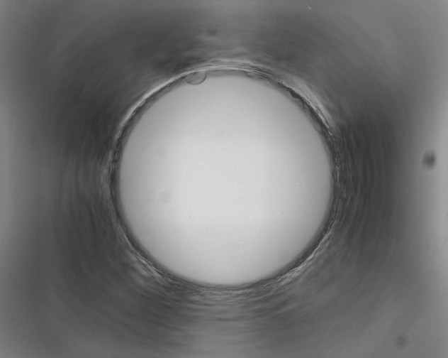 X0000116461260201001201253