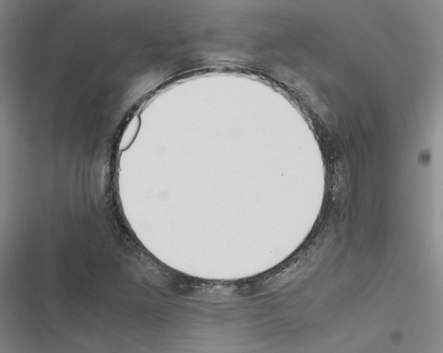 X0000116461261201001201253