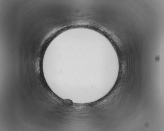 X0000116461262201001201253