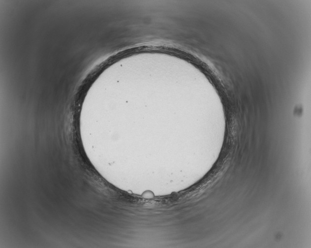 X0000116461263201001201253