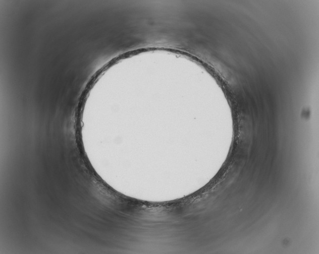 X0000116461264201001201253