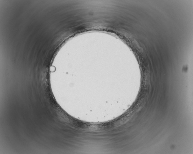 X0000116461265201001201253