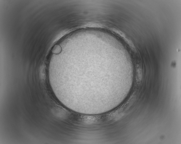 X0000116461266201001201253