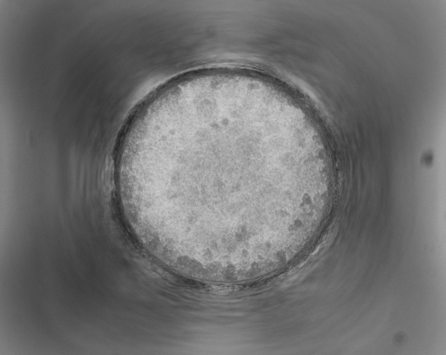 X0000116461267201001201253