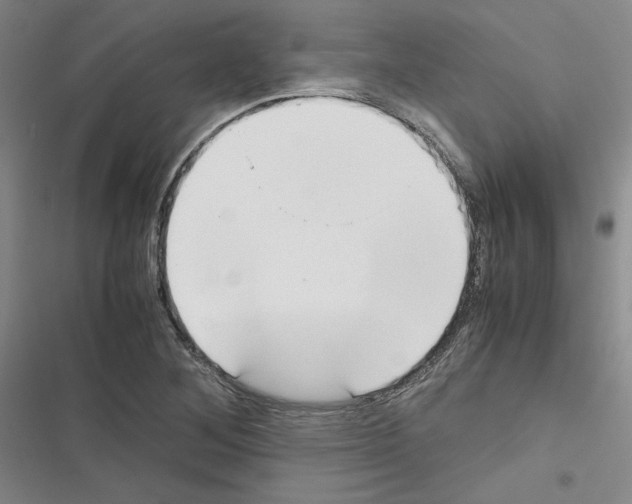 X0000116461268201001201253