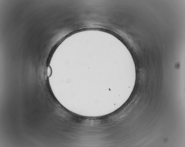 X0000116461269201001201253