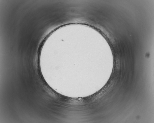 X0000116461270201001201253
