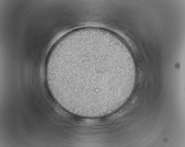 X0000116461271201001201253