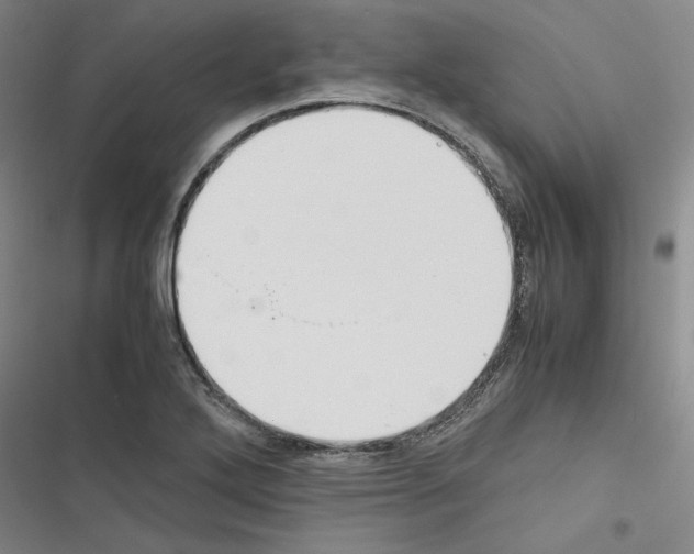 X0000116461272201001201253