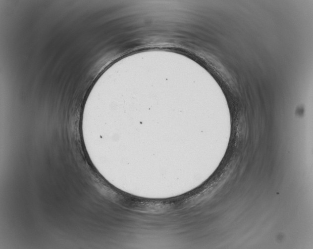 X0000116461273201001201252