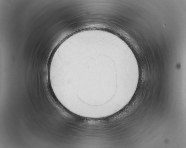 X0000116461274201001201252