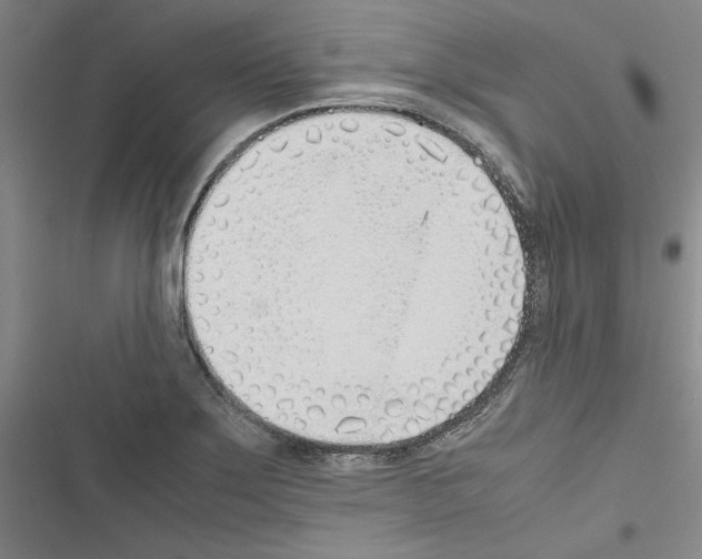 X0000116461275201001201252