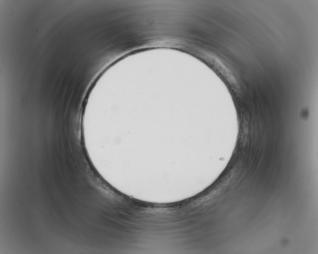 X0000116461276201001201252