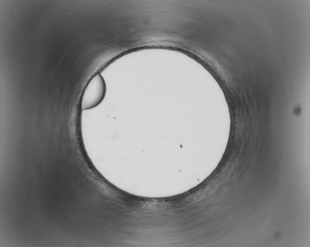 X0000116461277201001201252