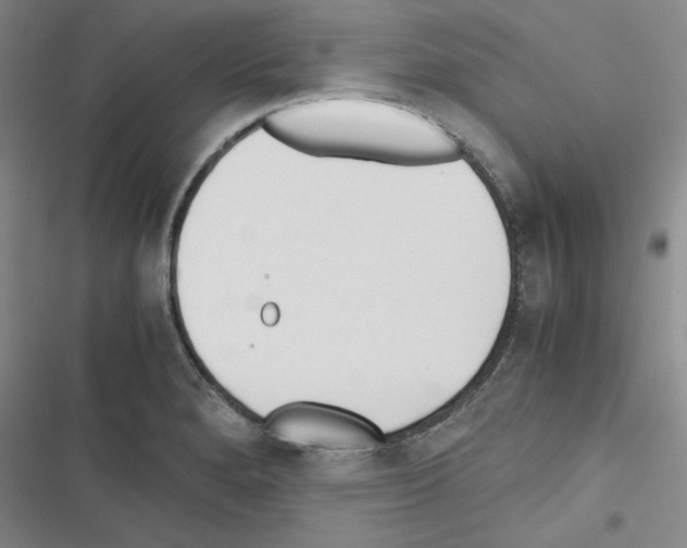 X0000116461280201001201252
