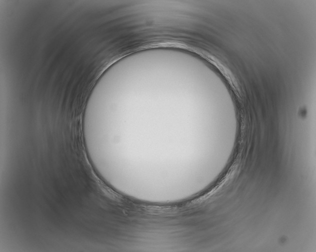 X0000116461281201001201252