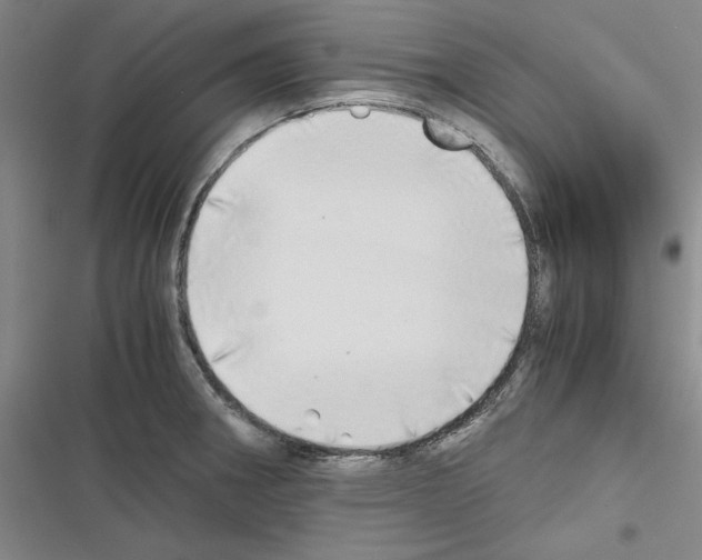 X0000116461282201001201252