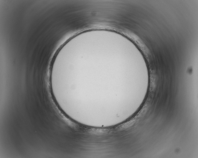 X0000116461286201001201252