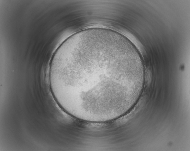 X0000116461290201001201252