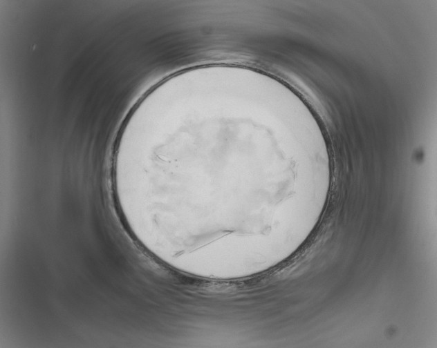 X0000116461291201001201252