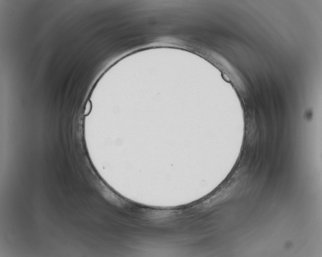 X0000116461292201001201252