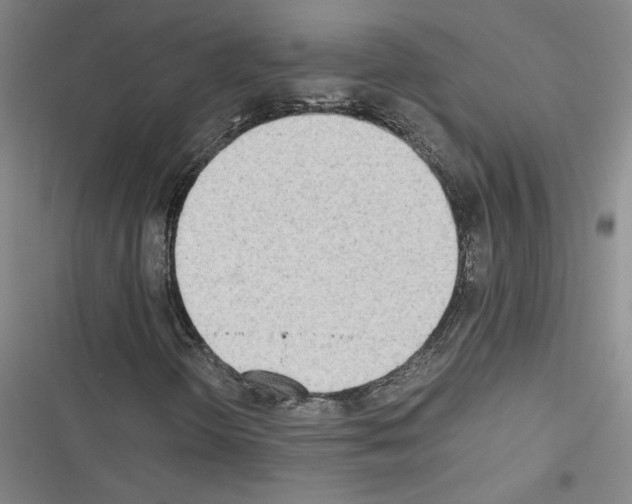 X0000116461298201001201252