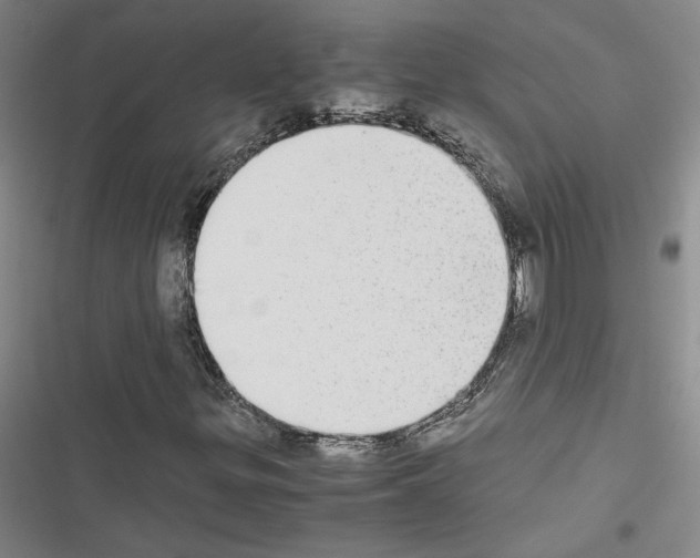 X0000116461299201001201252