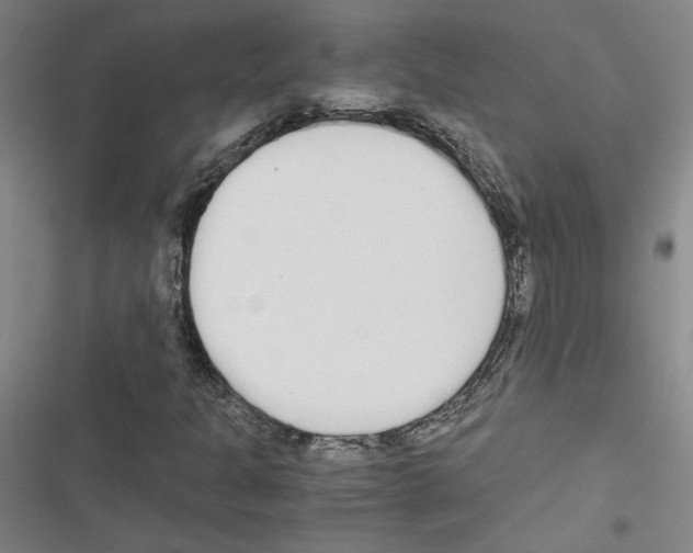 X0000116461301201001201252