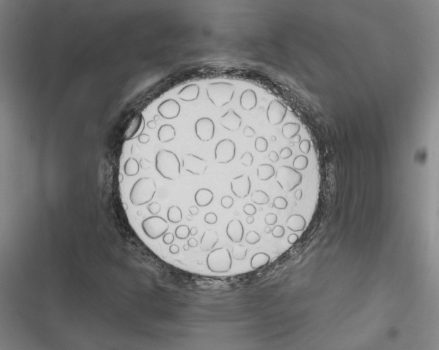 X0000116461302201001201252