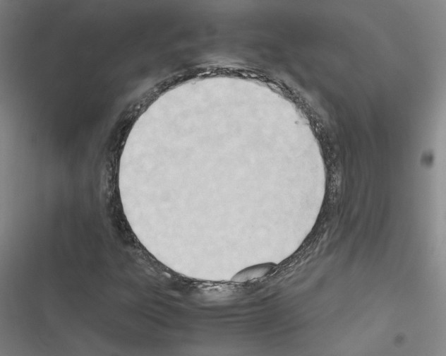 X0000116461303201001201252