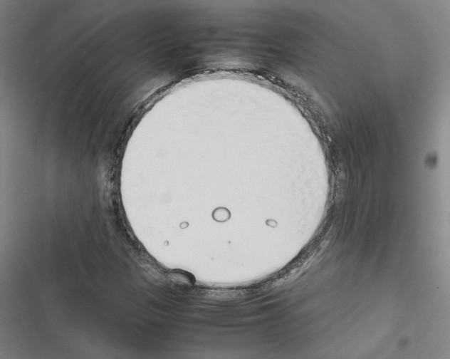 X0000116461305201001201252