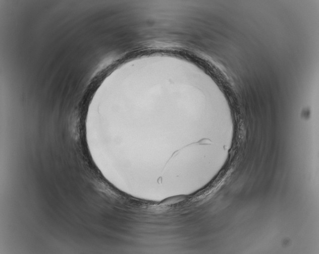X0000116461306201001201252