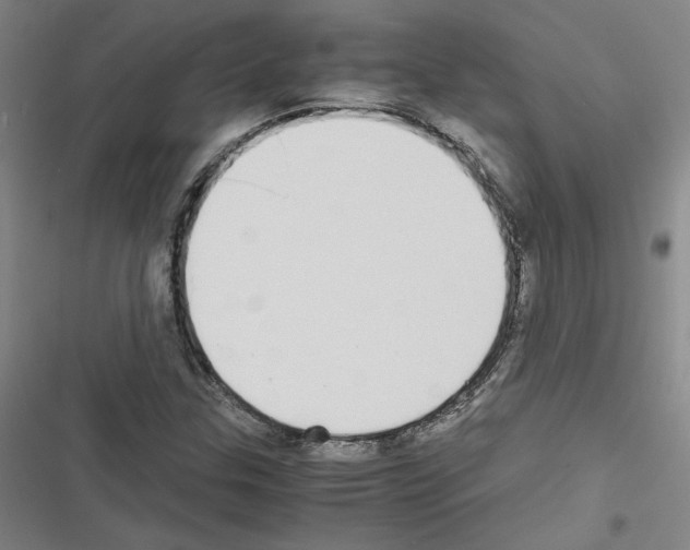 X0000116461307201001201252