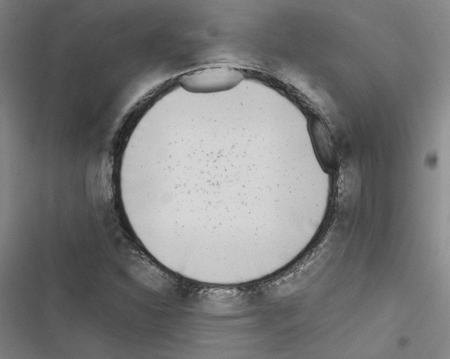 X0000116461310201001201252